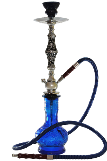 Cras tincidunt lobortis