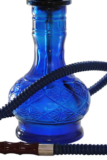 Cras tincidunt lobortis