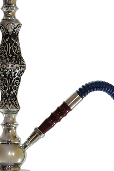 Cras tincidunt lobortis