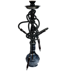 Habitasse platea dictumst