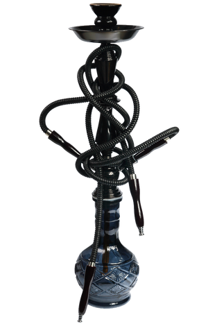 Habitasse platea dictumst