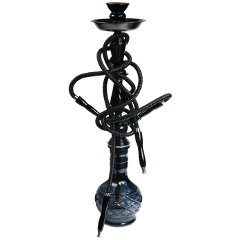 Habitasse platea dictumst