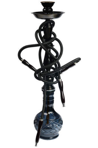 Habitasse platea dictumst