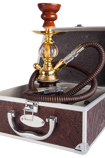 Eleifend donec pretium