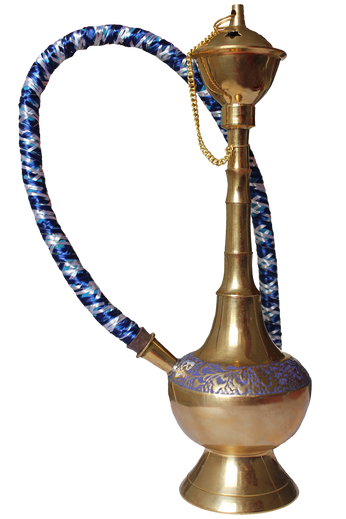 Aliquam sem fringilla