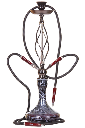 Euismod quis viverra