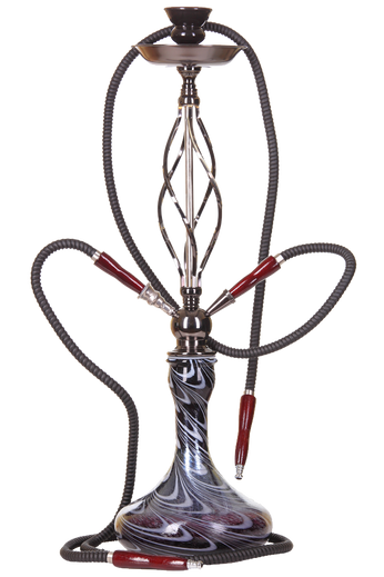 Euismod quis viverra