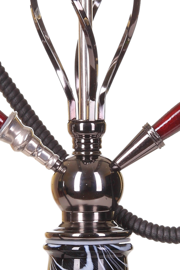 Euismod quis viverra