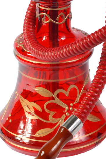 Bibendum ut tristique