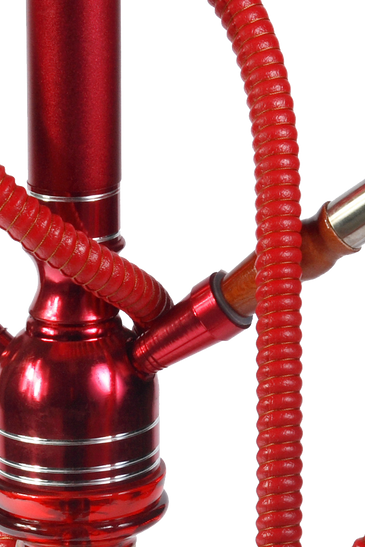 Bibendum ut tristique