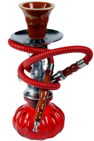 Pulvinar pellentesque