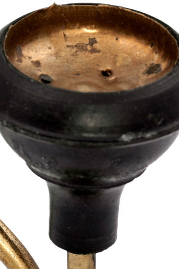 Hac habitasse platea